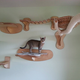 Illustration for article titled This wall furniture is the coolest thing your cat will see all day